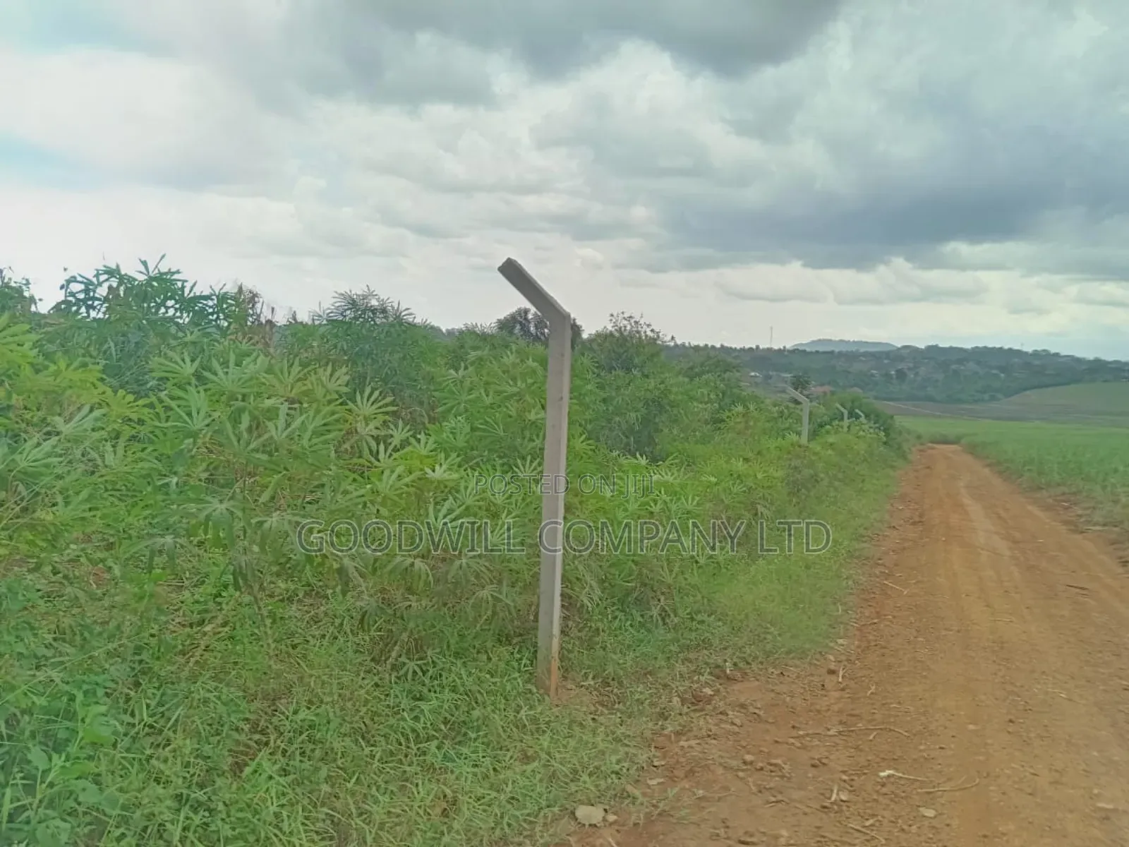 10 Acres of Land in Mbalala Mukono