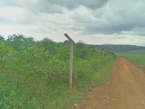 10 Acres of Land in Mbalala Mukono