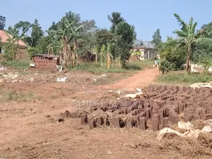 50 by 50 Ft Plot on Quick Sale