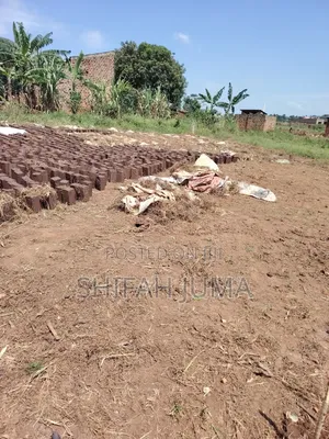 50 by 50 Ft Plot on Quick Sale