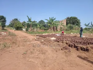 50 by 50 Ft Plot on Quick Sale