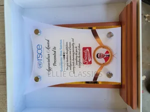 Wood and Acrylic Award