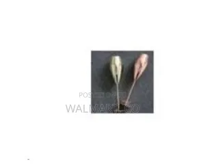 2 Piece Set of Champagne Glasses Multicolor