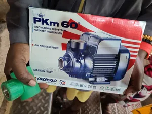 Original Pedrollo Surface Pump