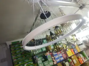 Remote Controlled Led Chandelier Pendant Light