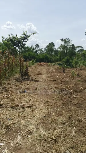 Kibanja In Equipe Estate