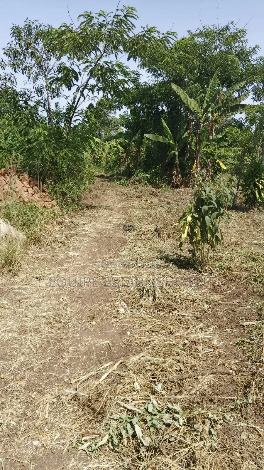 Kibanja In Equipe Estate