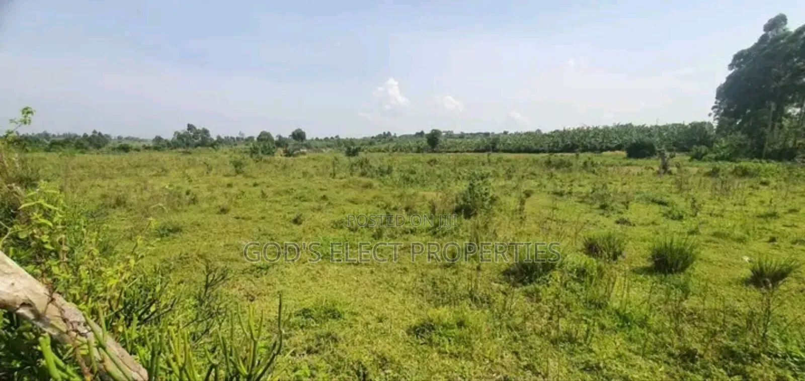 10 Hectares of Land for Sale in Rubaare Ntungamo 70m Each