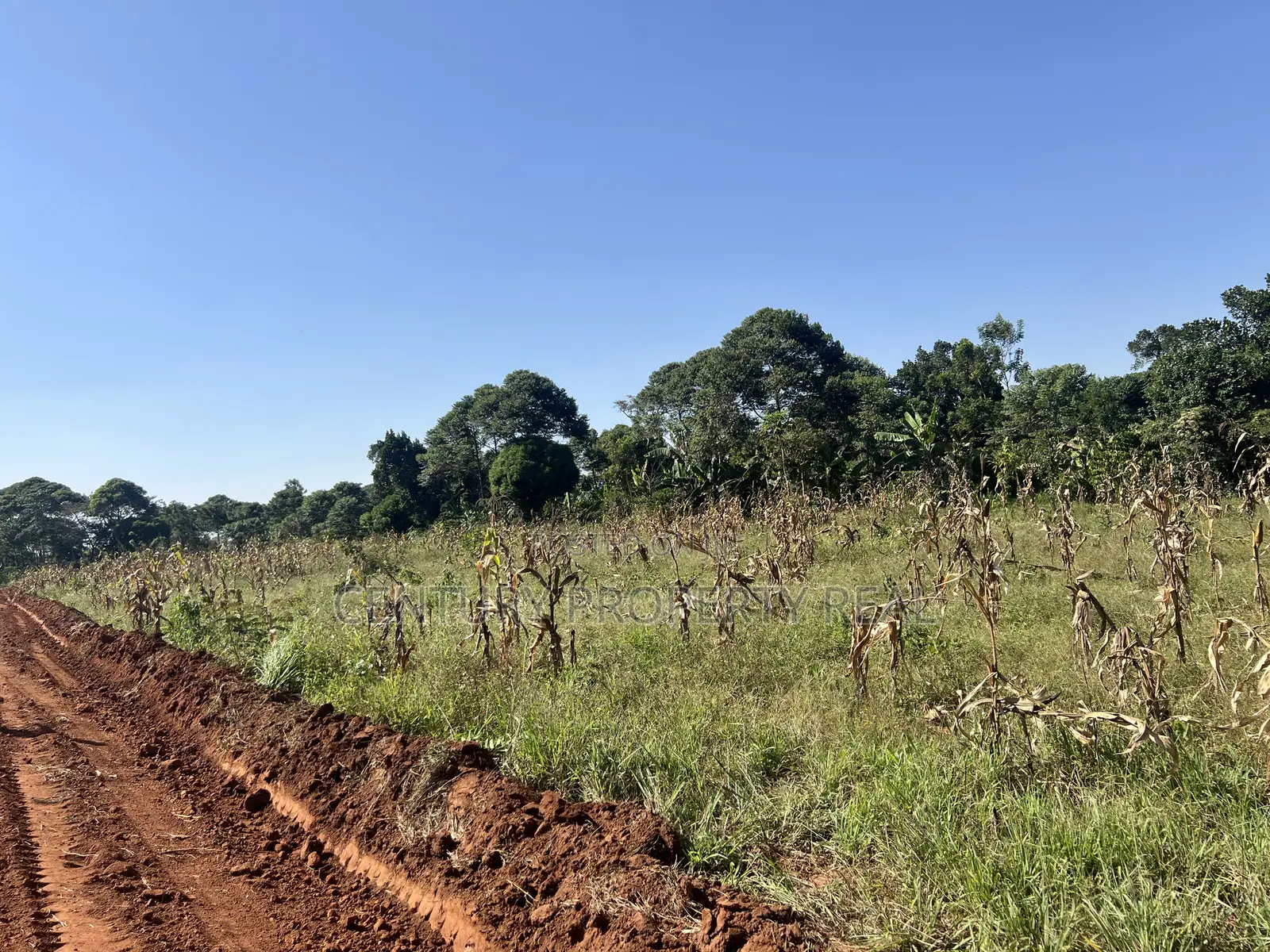 Land in Namayumba Near Pastor Bujingo Home