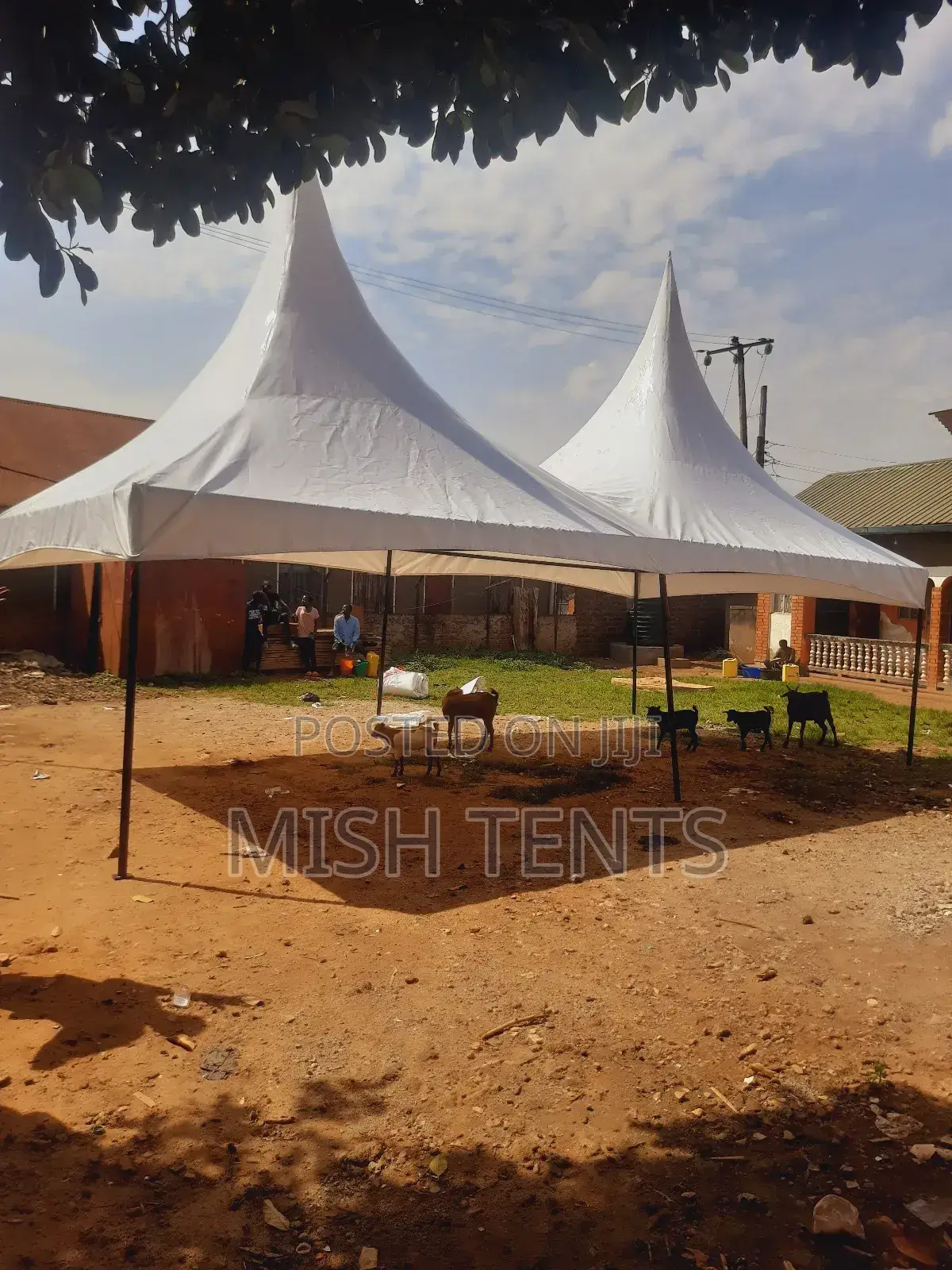 First Class 100 Seater Tent