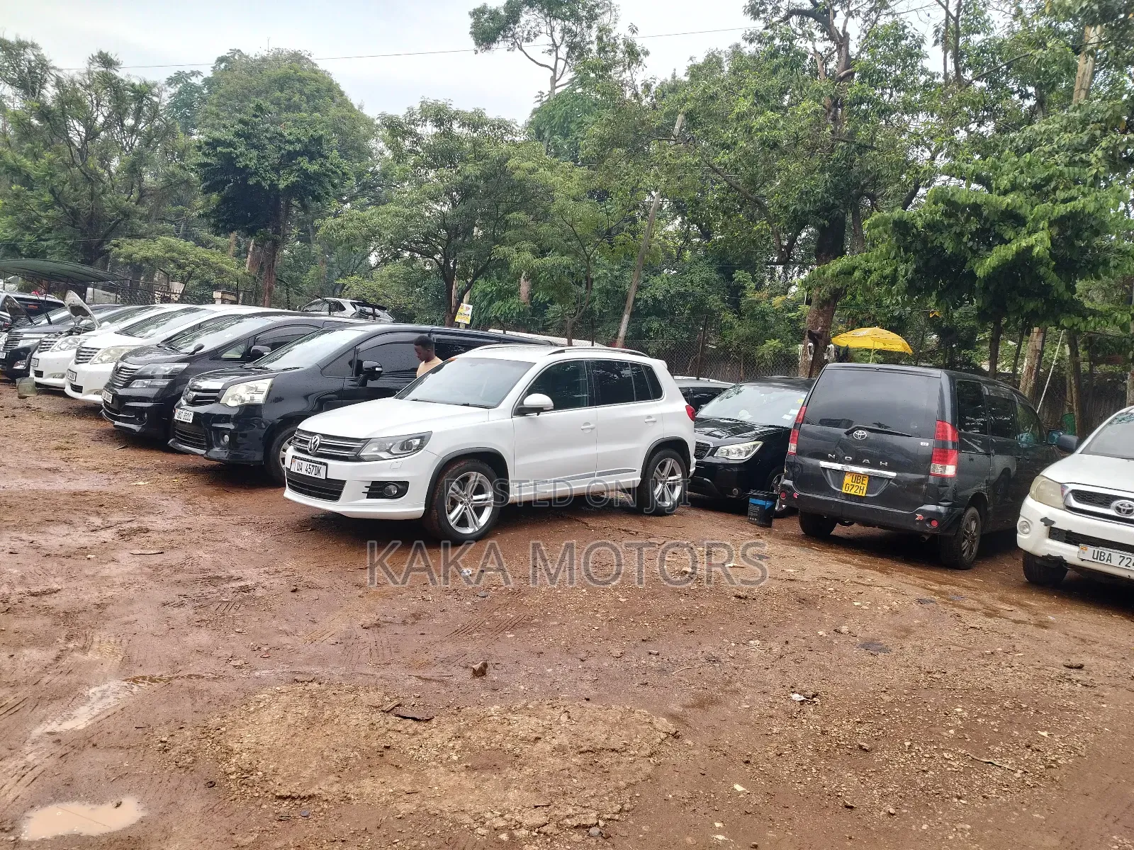 Volkswagen Tiguan 2014 White