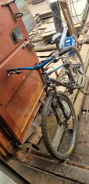 29 Bicycle Foreign Used