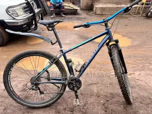 29 Bicycle Foreign Used