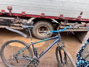 29 Bicycle Foreign Used