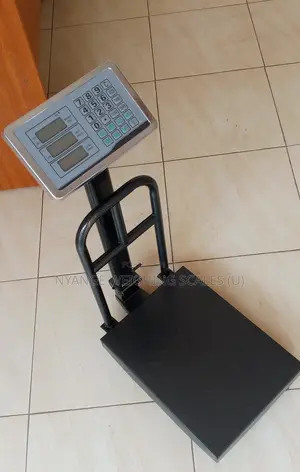 High Accuracy Weighing Scale 165kg Weigh Digital Weighing Scale
