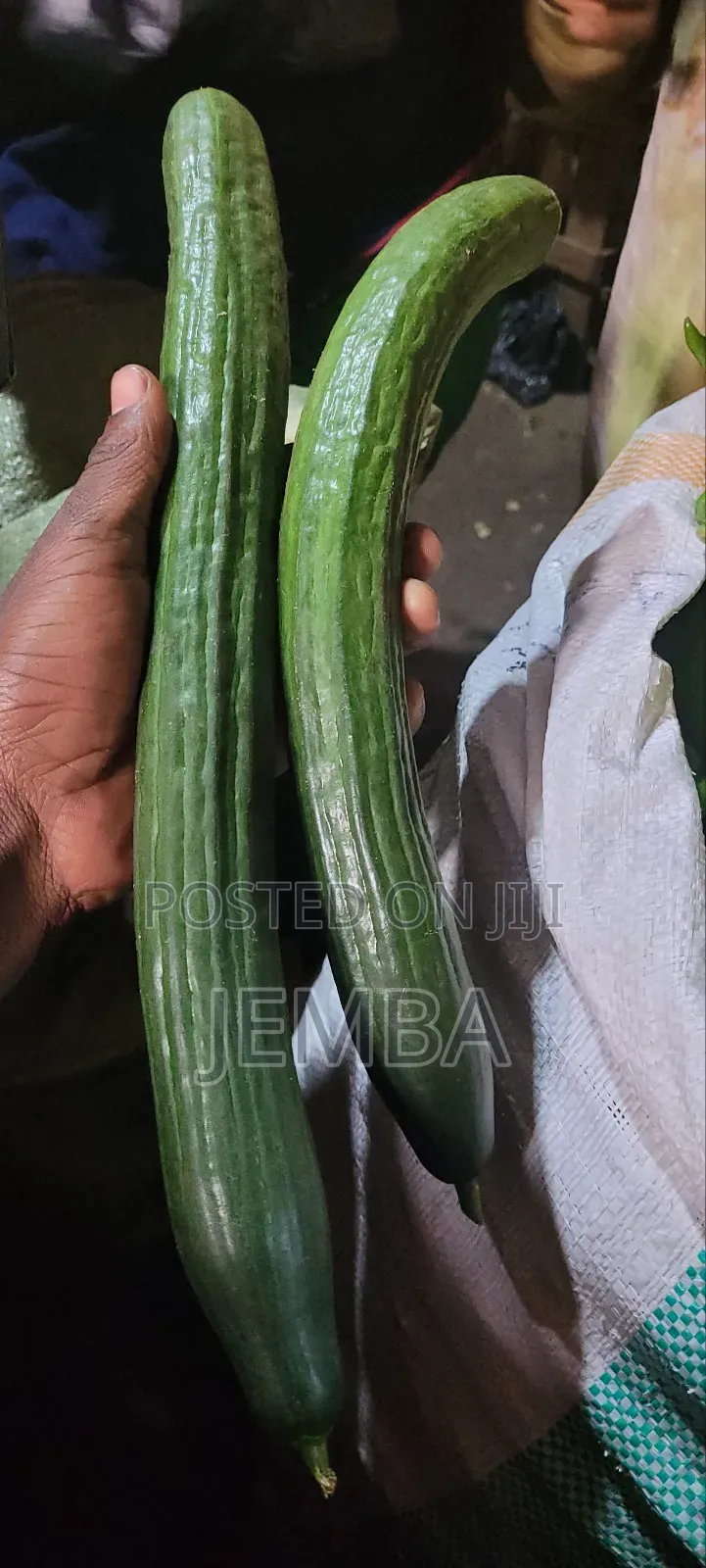 English Green Cucumber