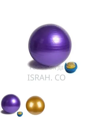Gym/Yoga Ball With Inflator