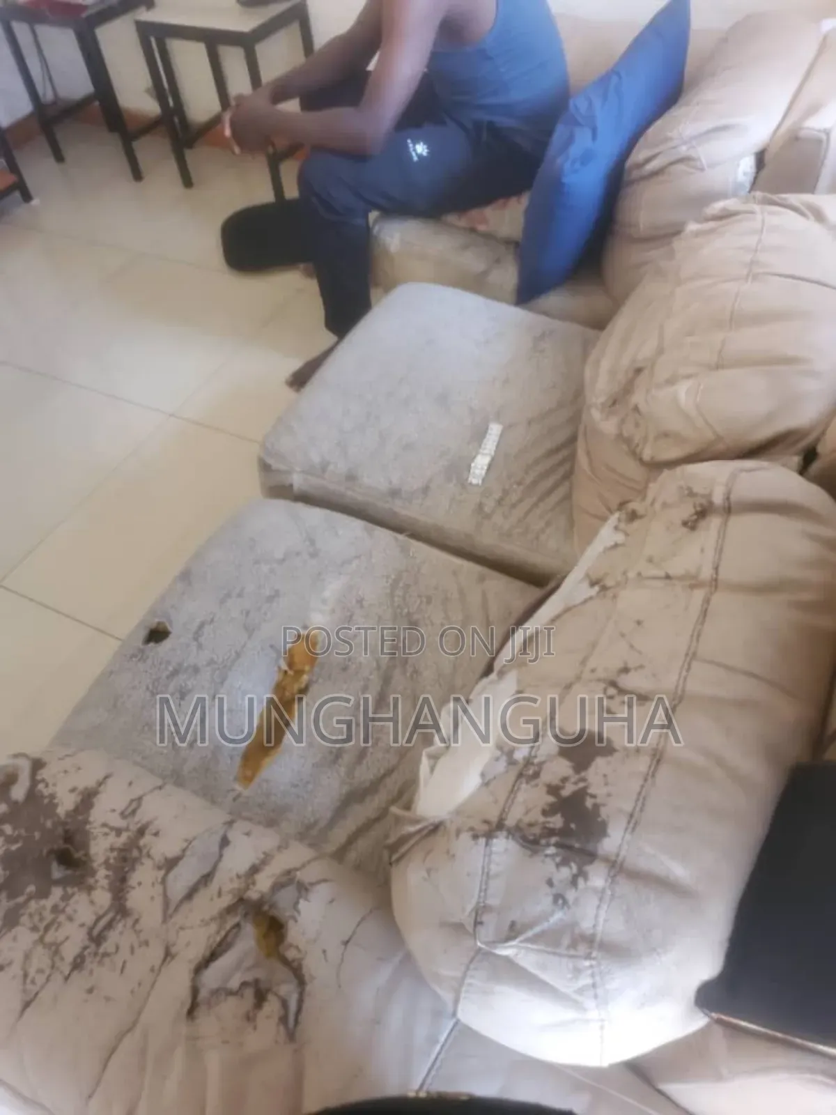 Sofa Repair