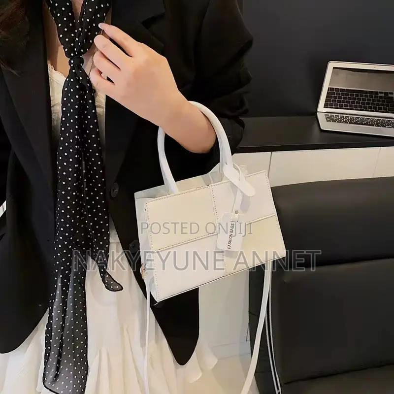 Lady Shoulder and Hand Bag