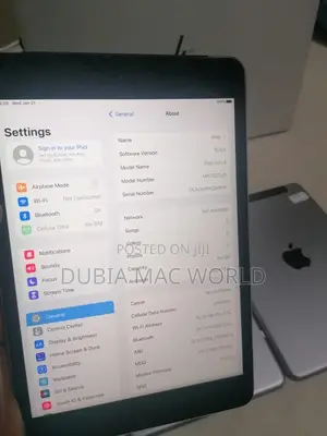 Apple iPad mini 4 64 GB Gray