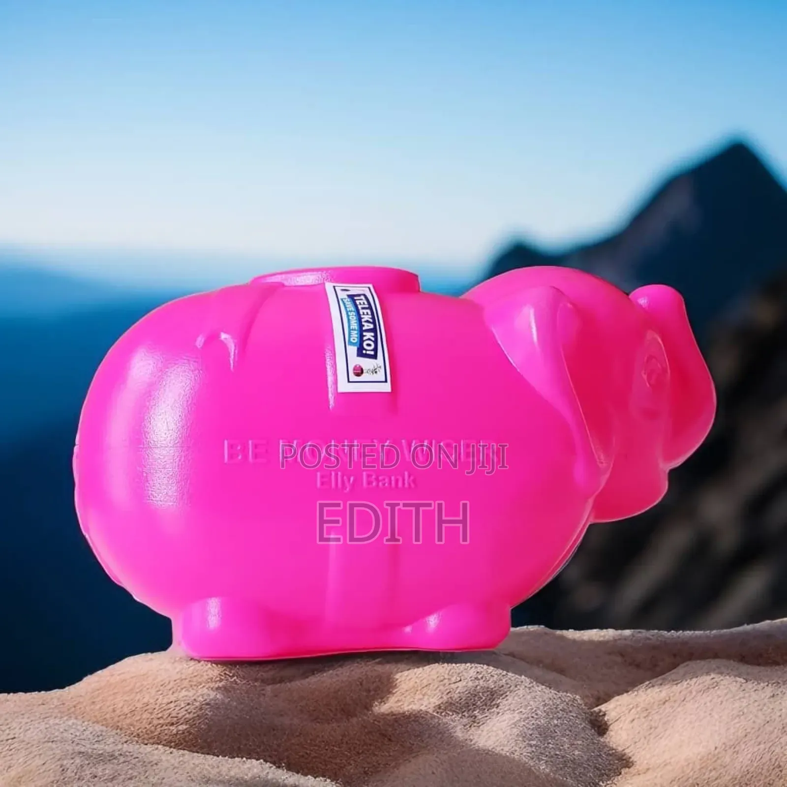 Piggy Bank