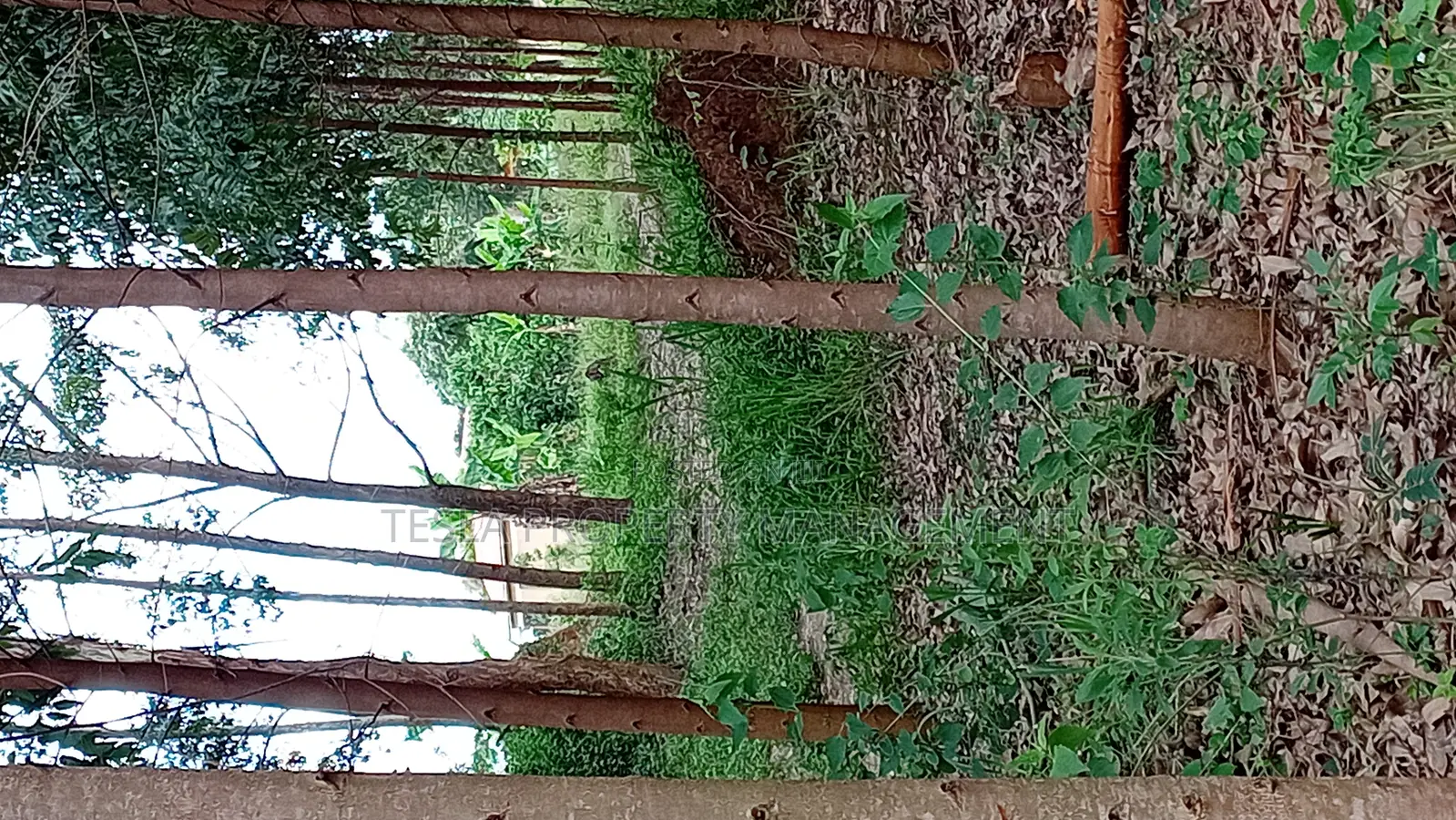 5 Acres of Private Mailo Land