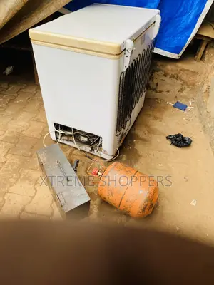 Professional Fillers /Fridge /Freezer Repairmen/Kitchen Appliances