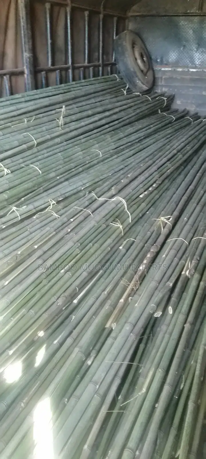 Long Bamboo Seller