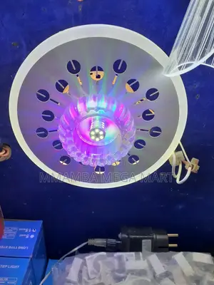 Ceiling Lamp