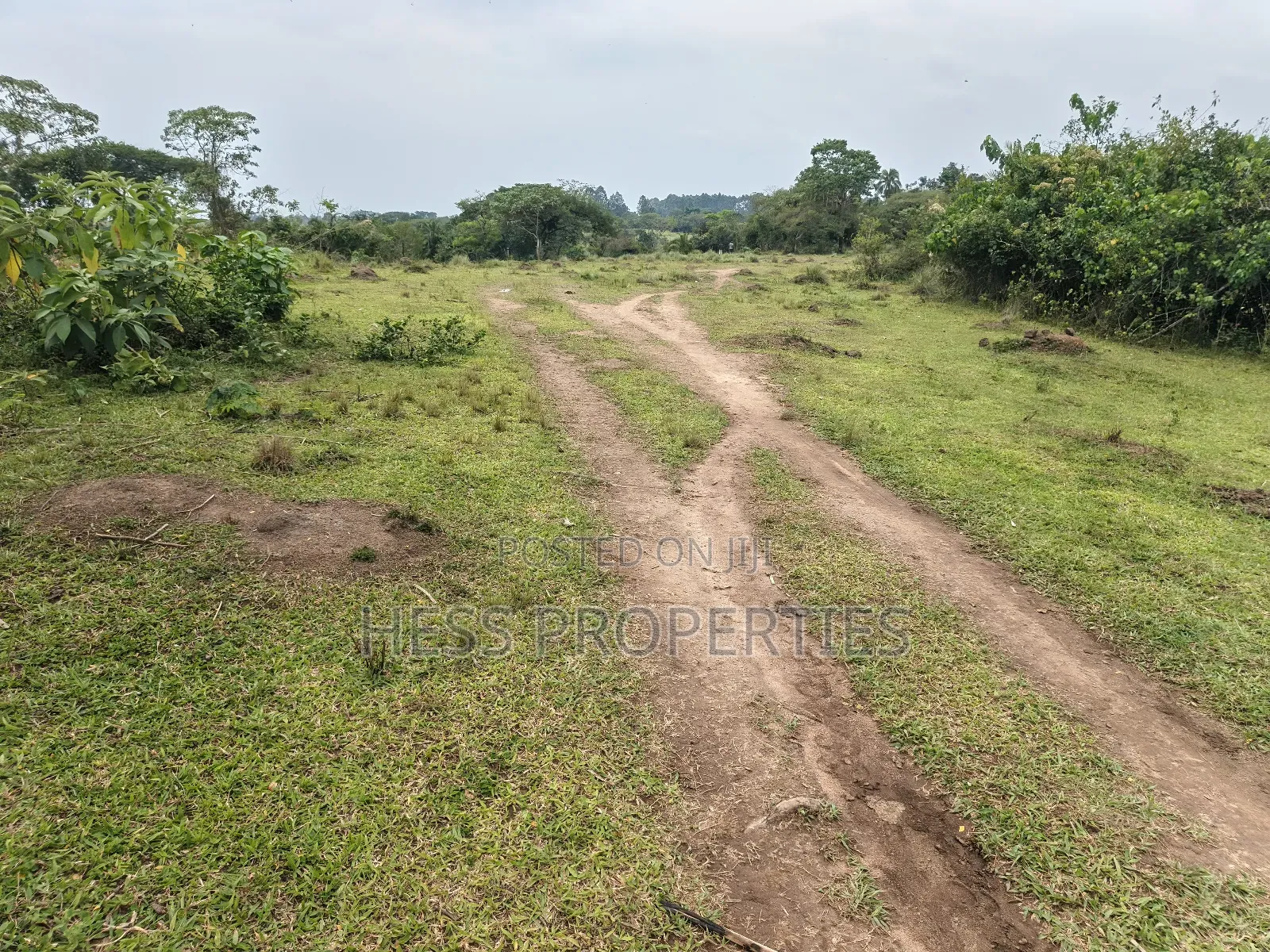 Farmland on Sale
