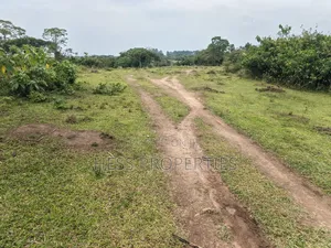 Farmland on Sale