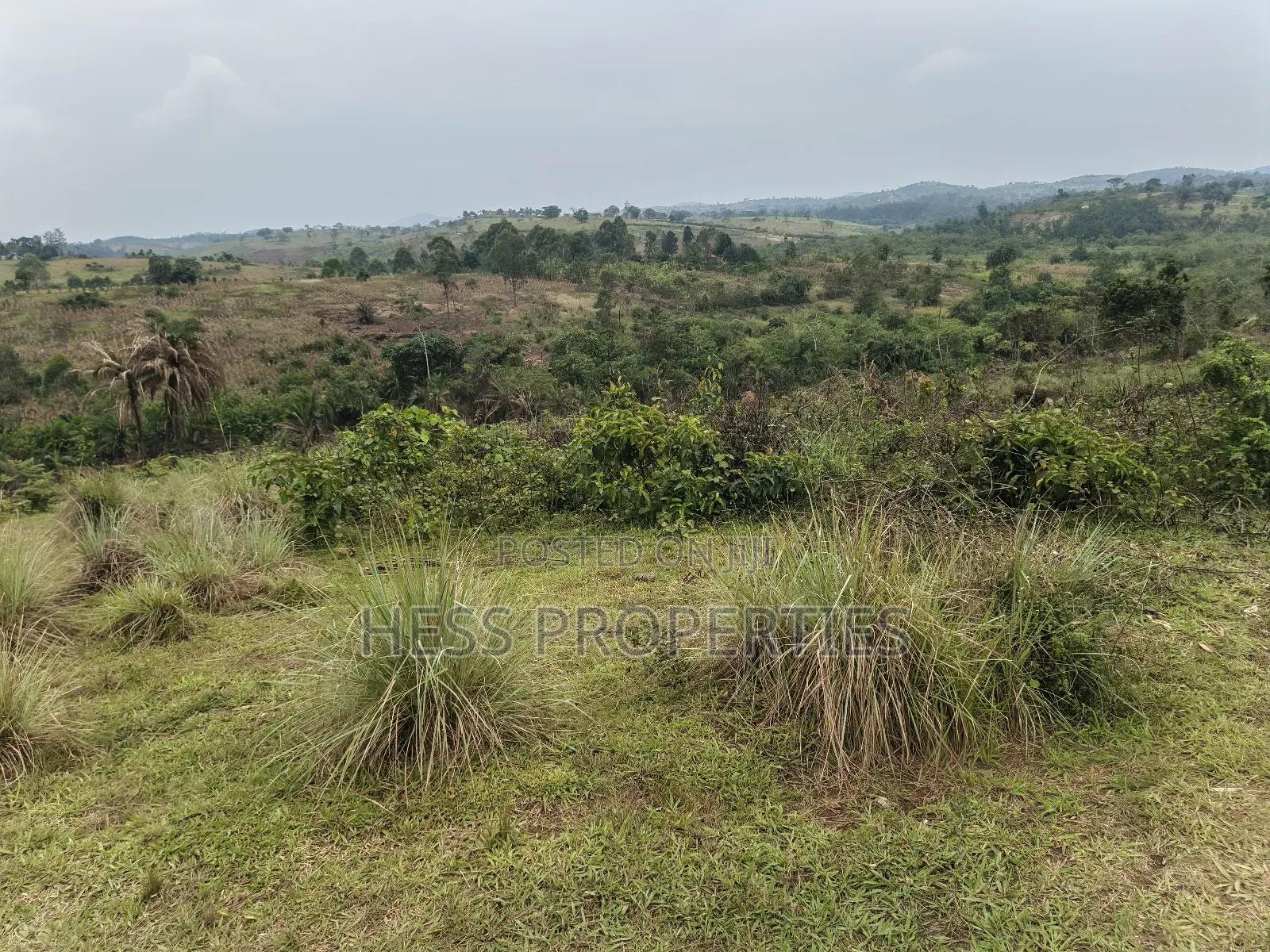 Farmland on Sale