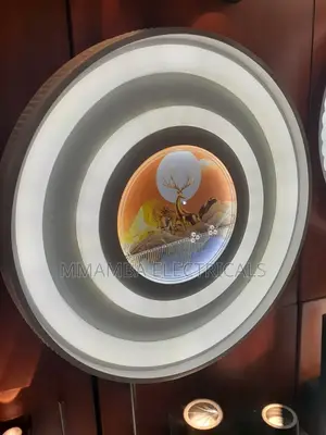 Led Ceiling Light