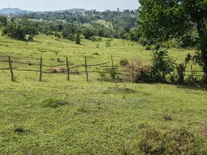 Bisozi-Kamwenge Farmland on Sale