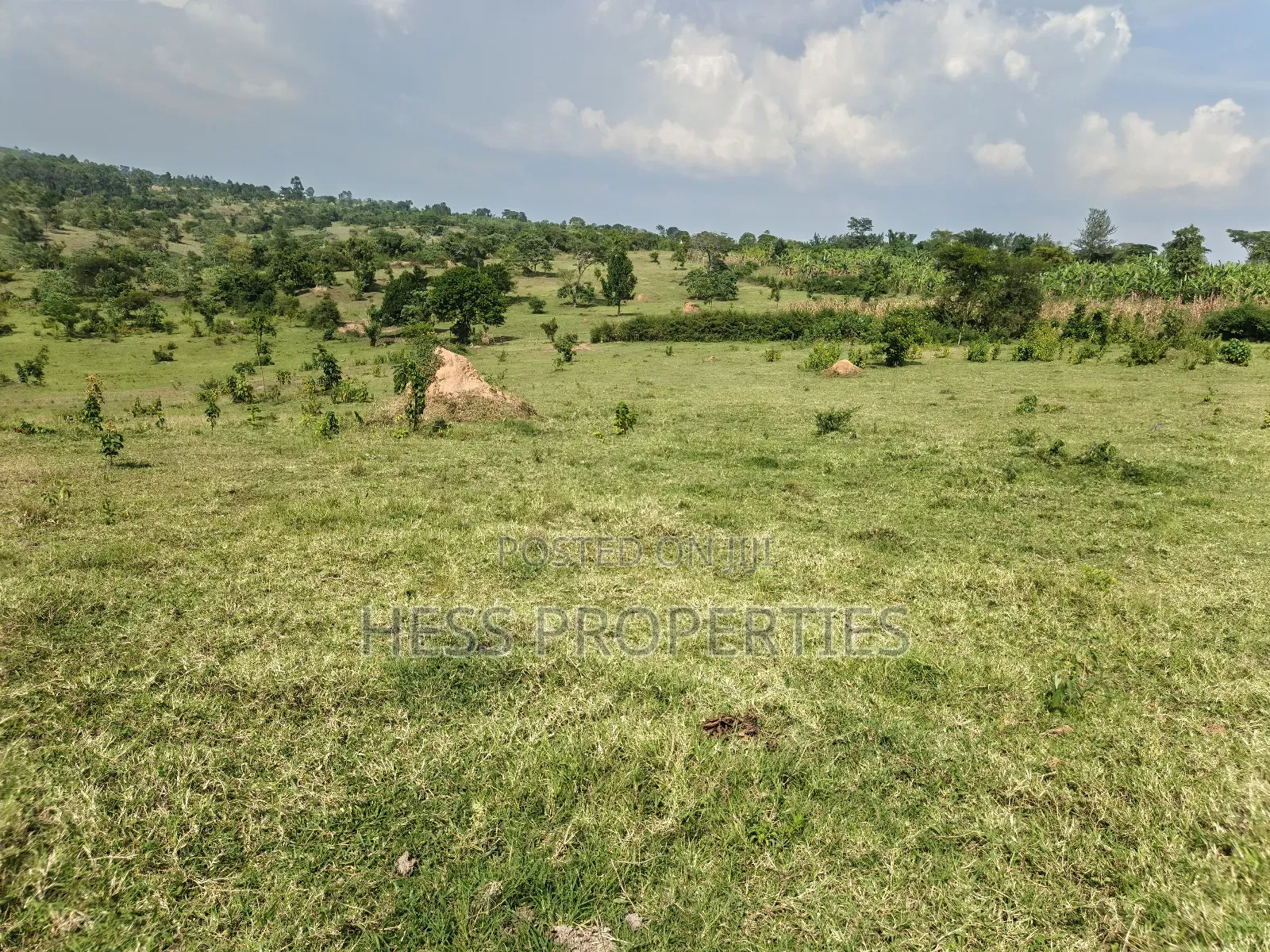 Bisozi-Kamwenge Farmland on Sale