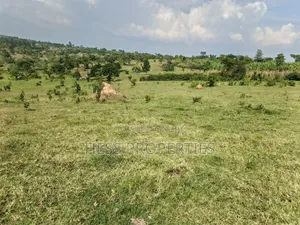 Bisozi-Kamwenge Farmland on Sale
