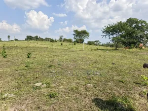 Bisozi-Kamwenge Farmland on Sale