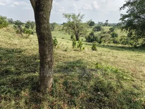 Bisozi-Kamwenge Farmland on Sale