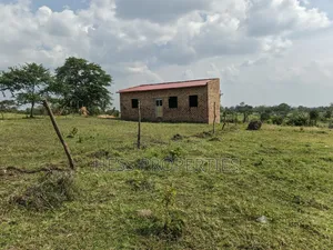 Bisozi-Kamwenge Farmland on Sale