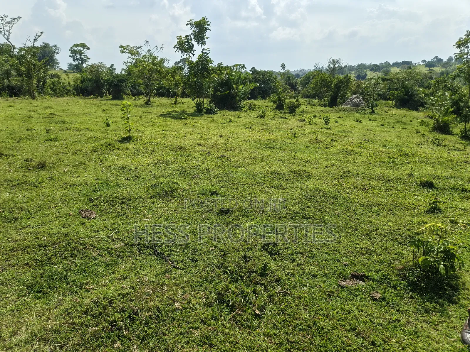 Bisozi-Kamwenge Farmland on Sale