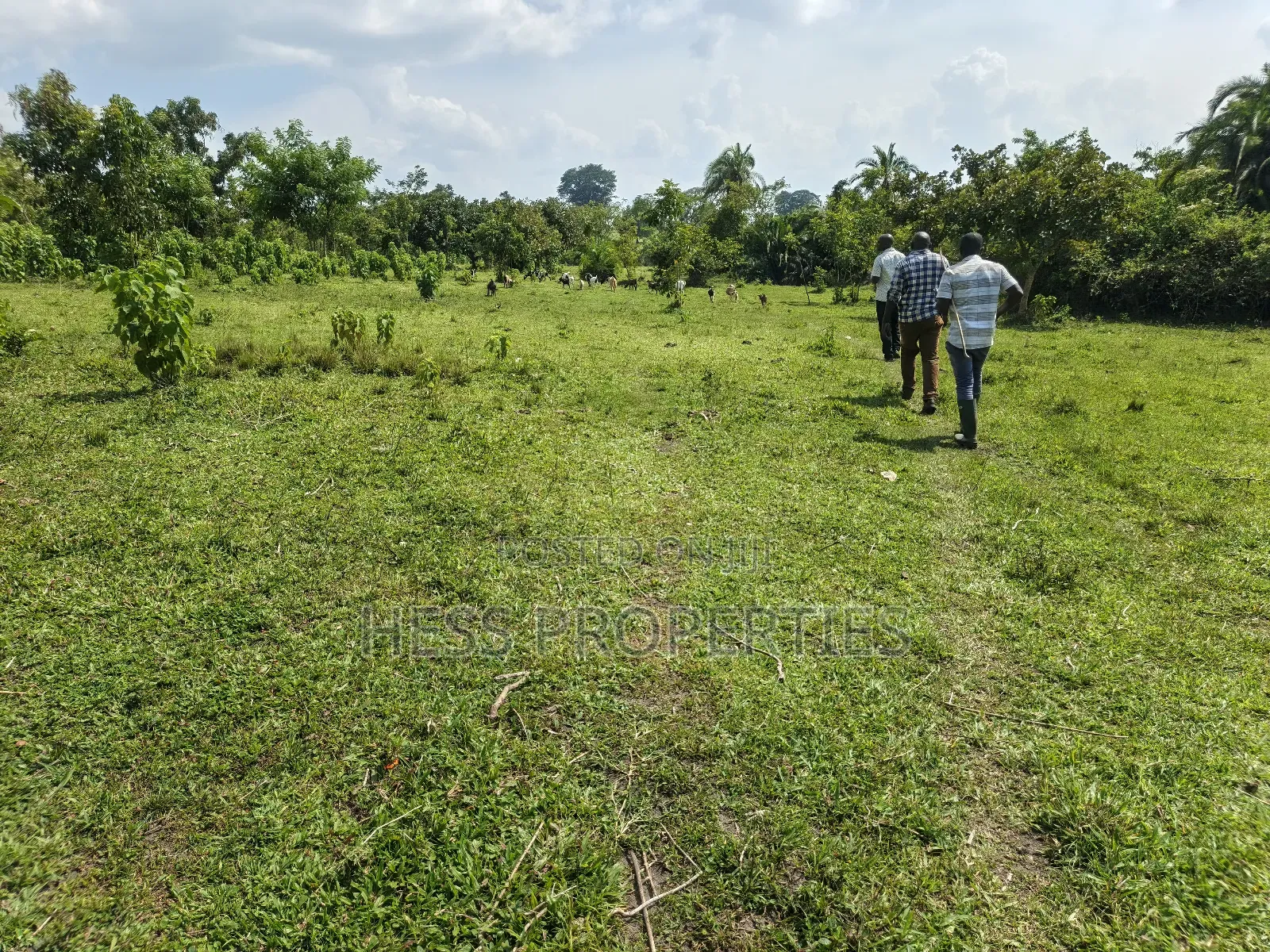 Bisozi-Kamwenge Farmland on Sale