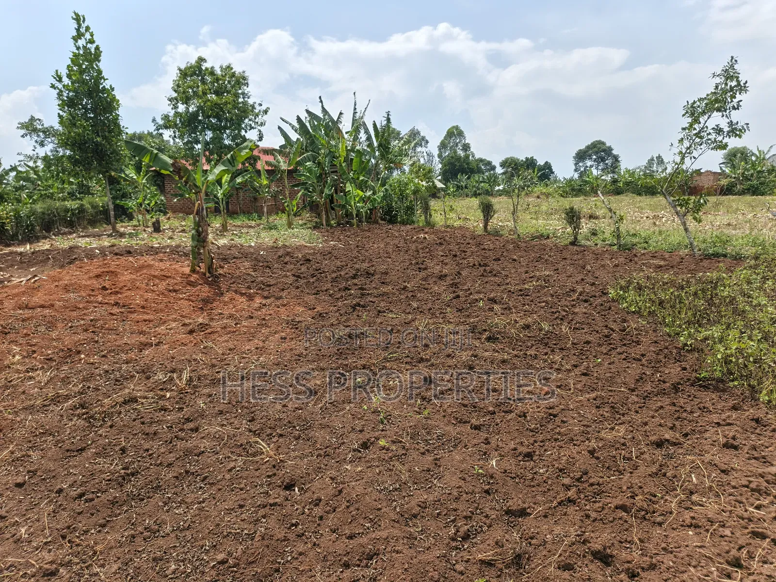 Agricultural Land in Kamwenge on Sale