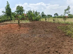 Agricultural Land in Kamwenge on Sale