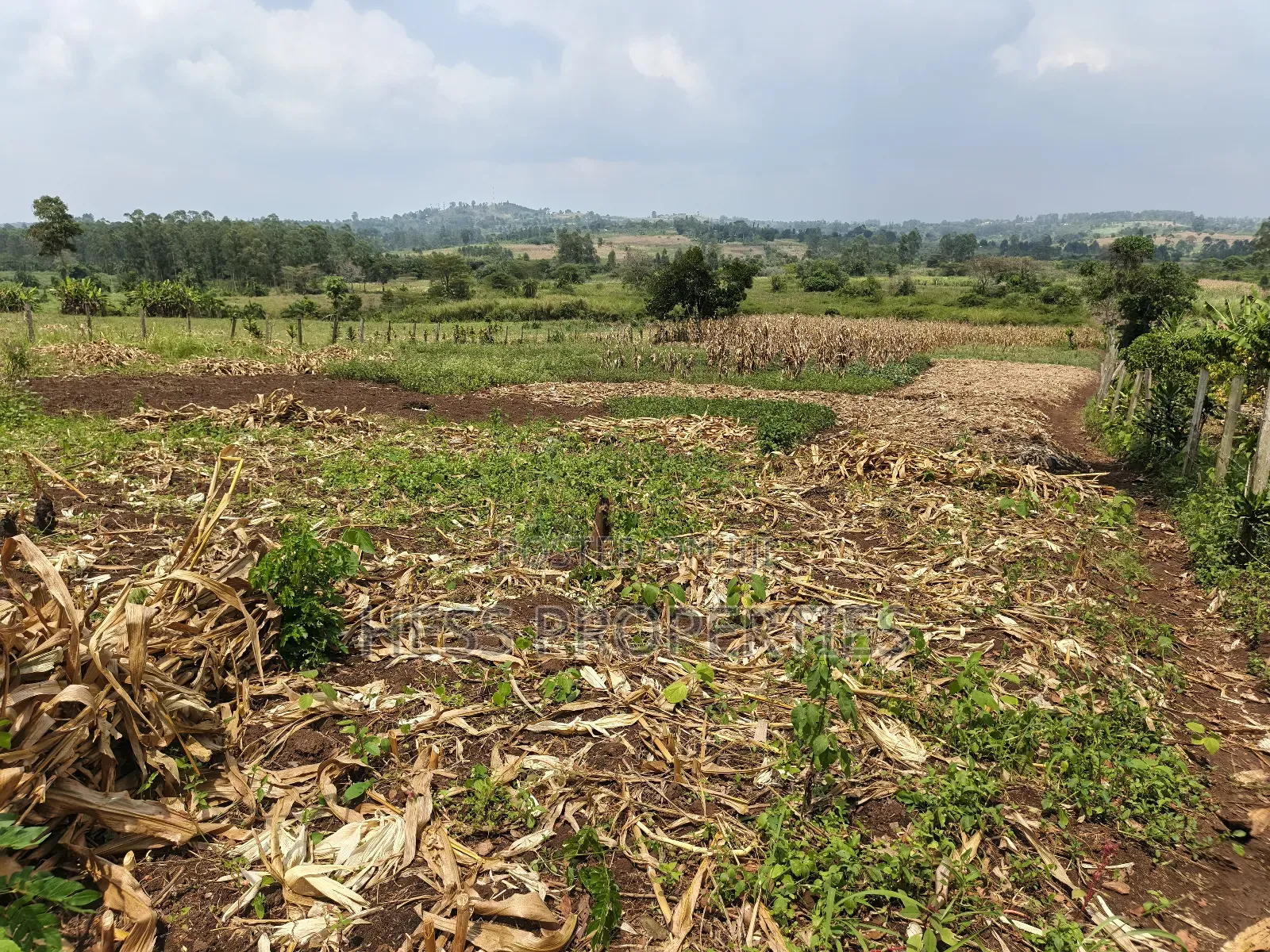 Agricultural Land in Kamwenge on Sale