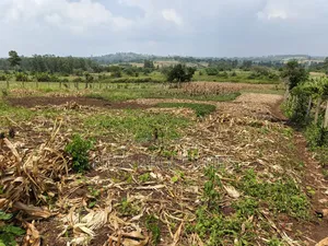 Agricultural Land in Kamwenge on Sale