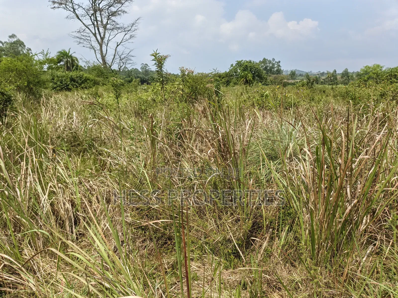 Agricultural Land in Kamwenge on Sale