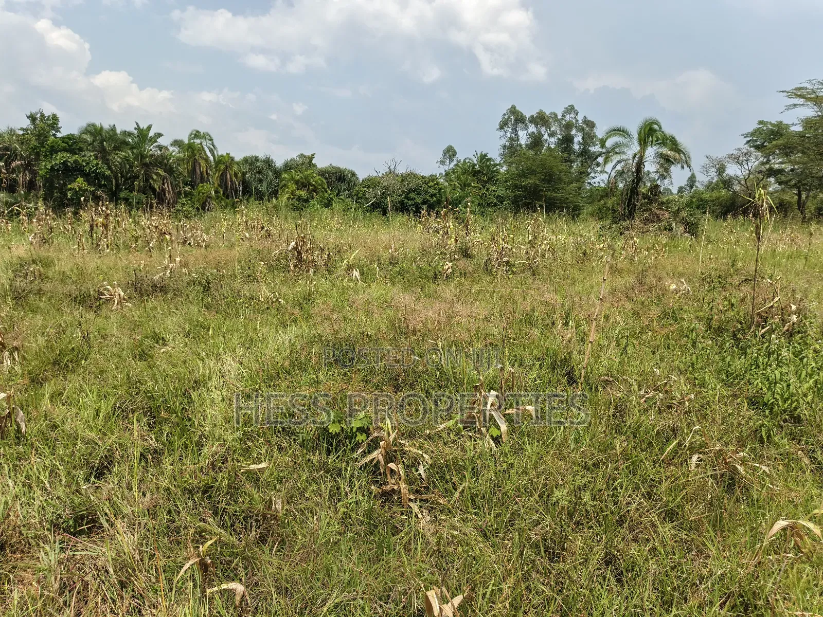 Agricultural Land in Kamwenge on Sale