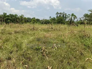 Agricultural Land in Kamwenge on Sale