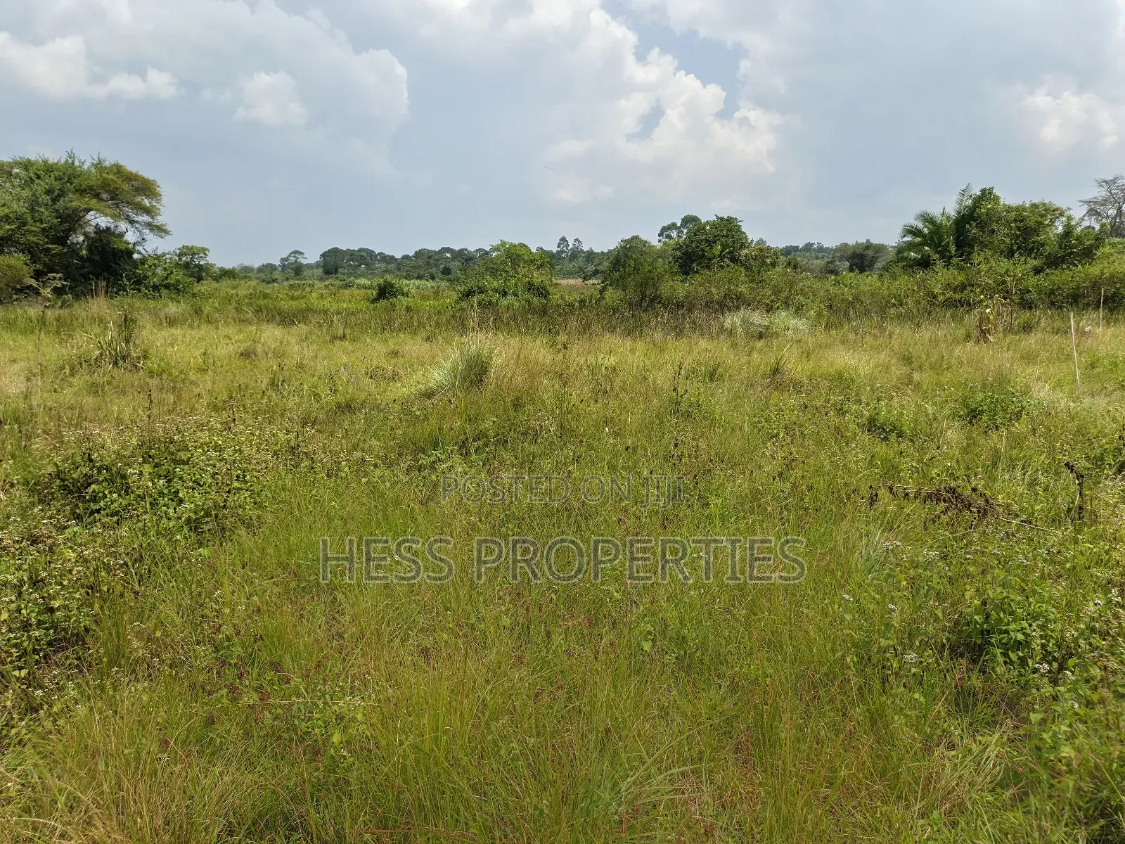 Agricultural Land in Kamwenge on Sale