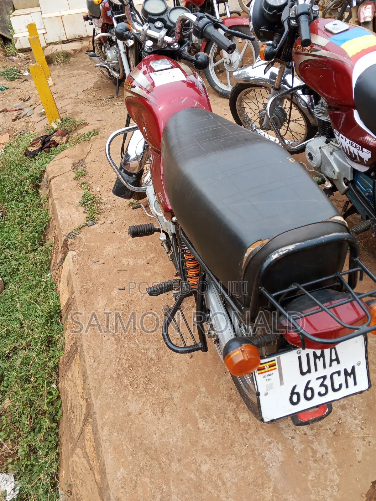 Bajaj Boxer 100 2025 Red